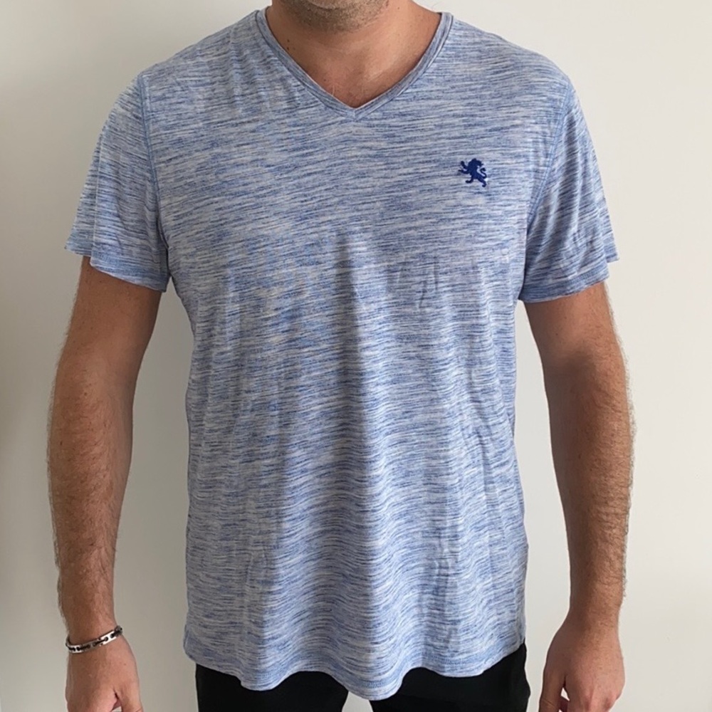 Express Slim Stretch Cotton V-Neck T-Shirt